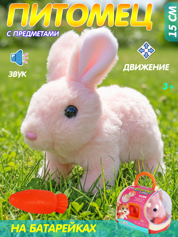 0C-00115569 pink-00001