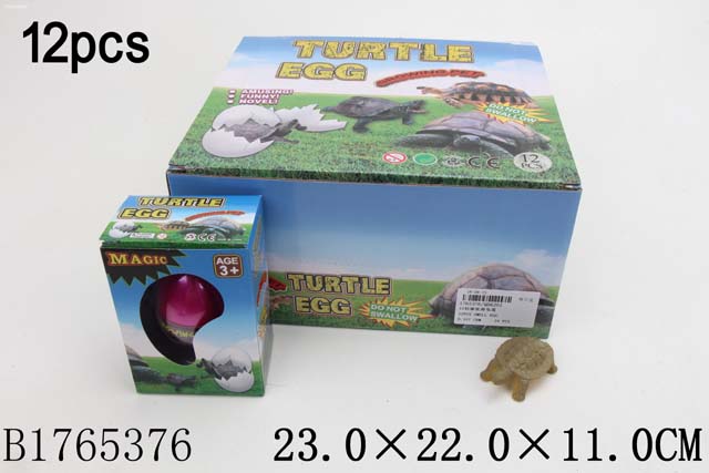 00-0008558524_08_18_11_08_01