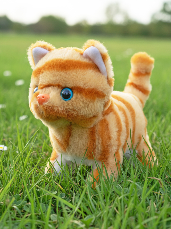 0C-00115090 orange-00002